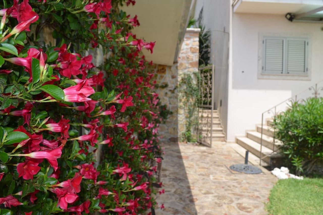 Valadas Guest House Canedo  Экстерьер фото